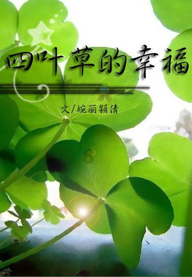 小猫钓鱼正版下载中文版