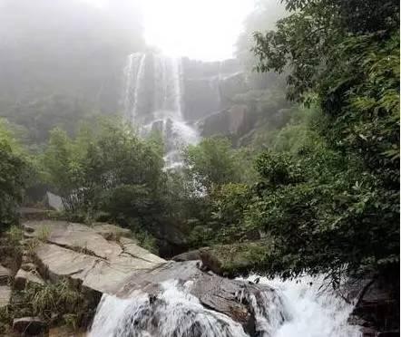 春雨直播app